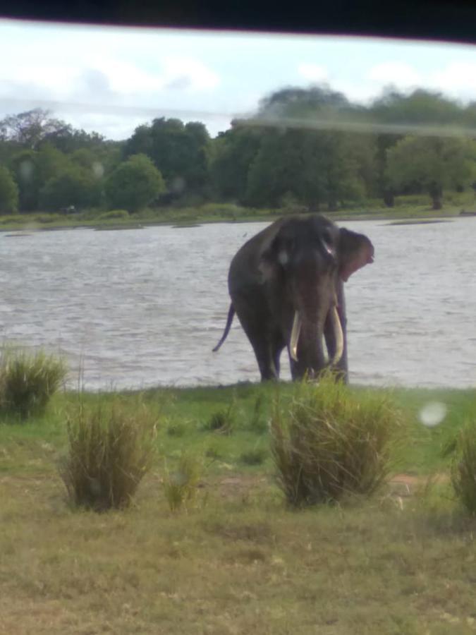 River Nature Park Polonnaruwa Exterior photo