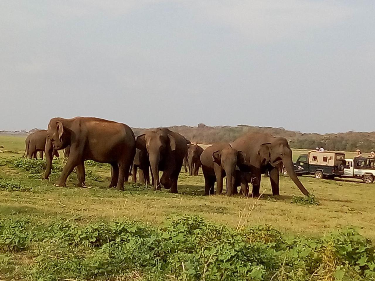 River Nature Park Polonnaruwa Exterior photo